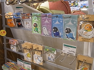 鳥とインコの雑貨展作品追加。セキセイ・ボタンミニ特集中。_d0322493_1815898.jpg