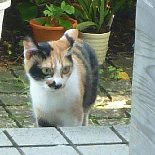 d0229501_15561344.jpg