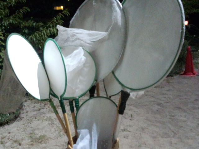 b0153002_0403376.jpg