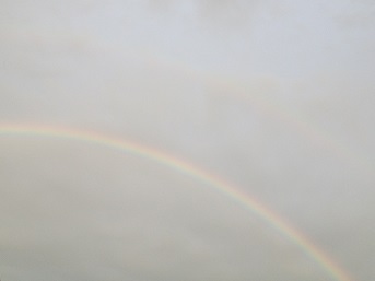 b0189603_22475930.jpg