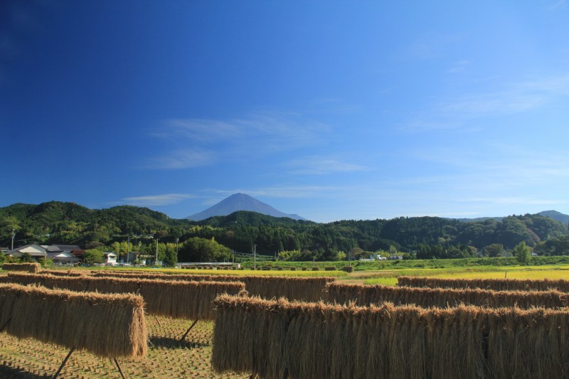 a0188405_15524580.jpg