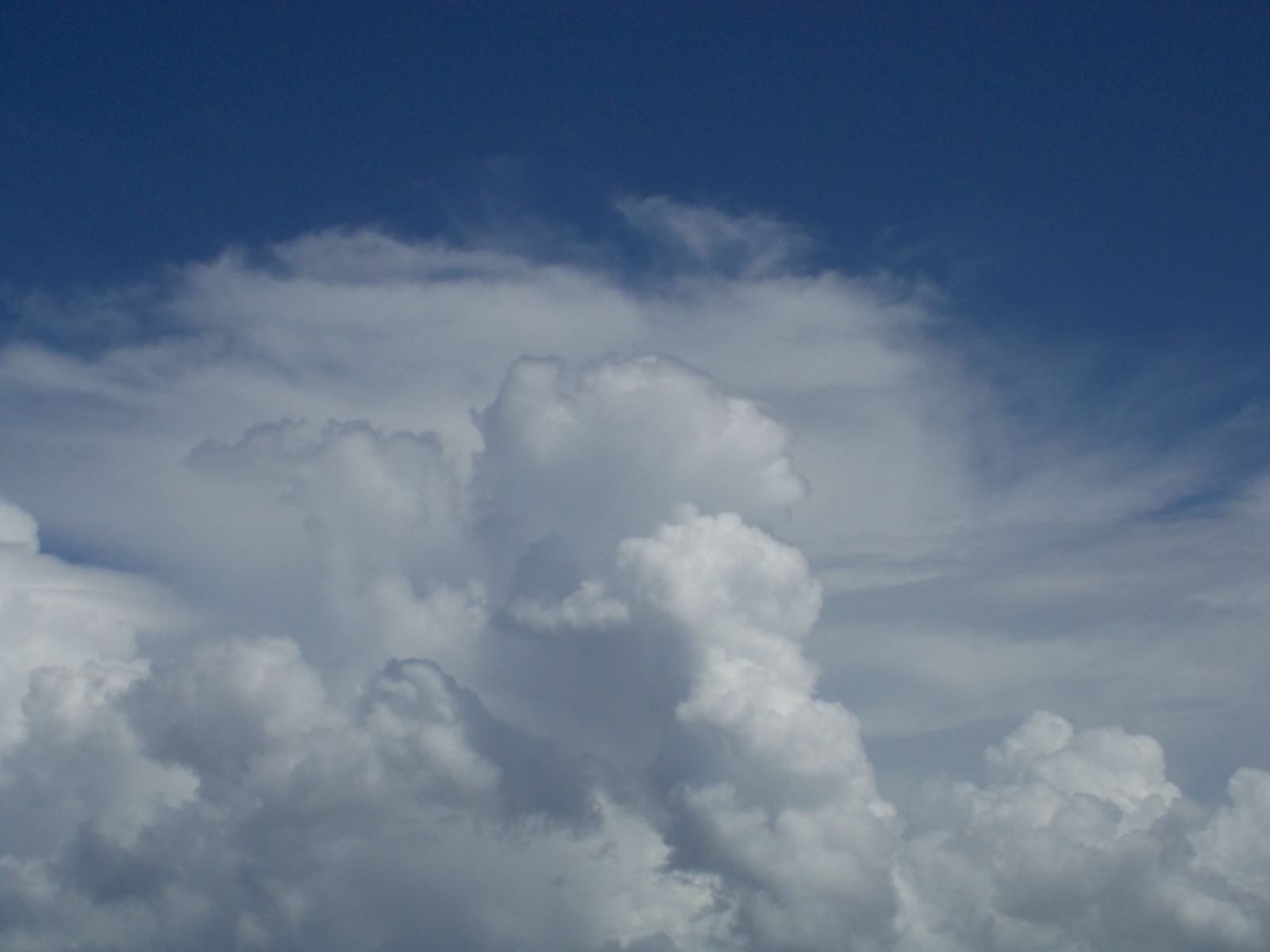 今日の空…菊の花ウマ！_b0277505_22111845.jpg