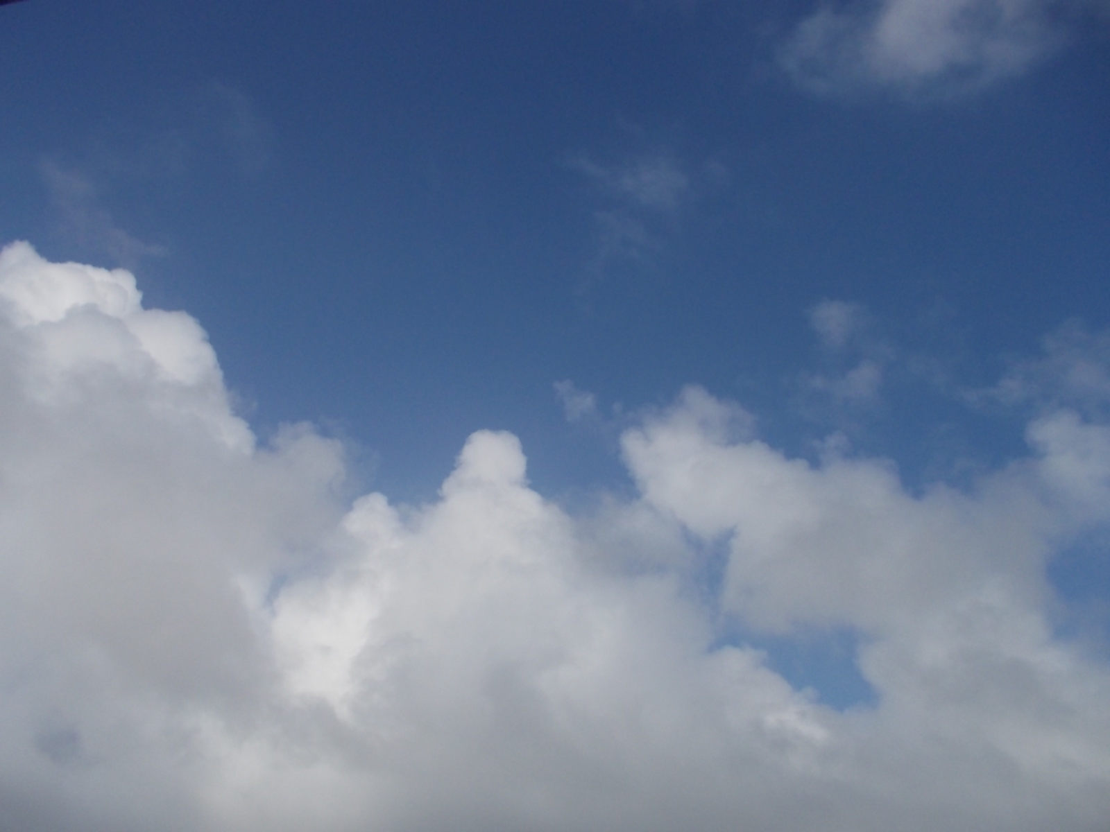 今日の空…菊の花ウマ！_b0277505_2214079.jpg