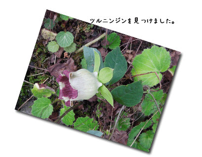 大岳山へ (8月28日)_c0051105_23294512.gif