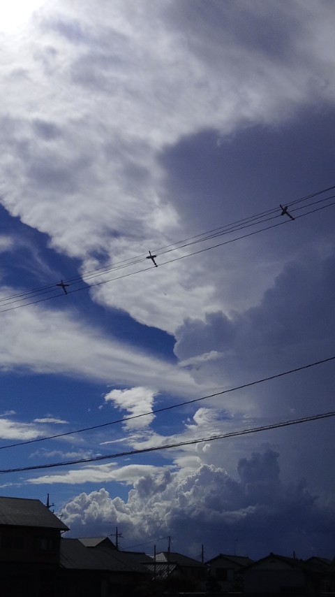 f0155808_16274197.jpg