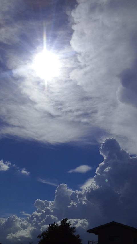 f0155808_16274260.jpg