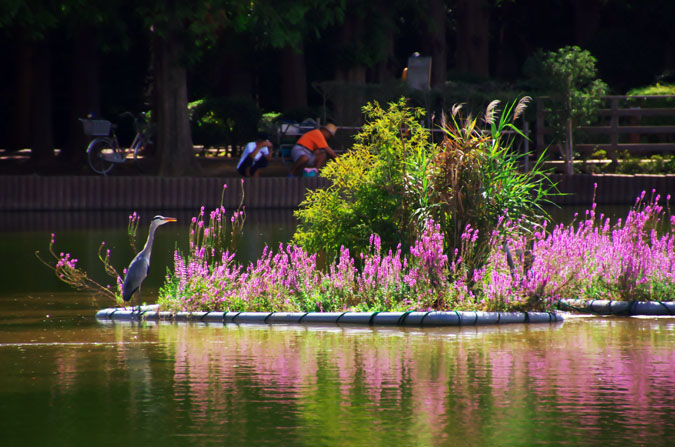 a0263109_1051313.jpg