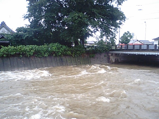 f0231709_1445897.jpg