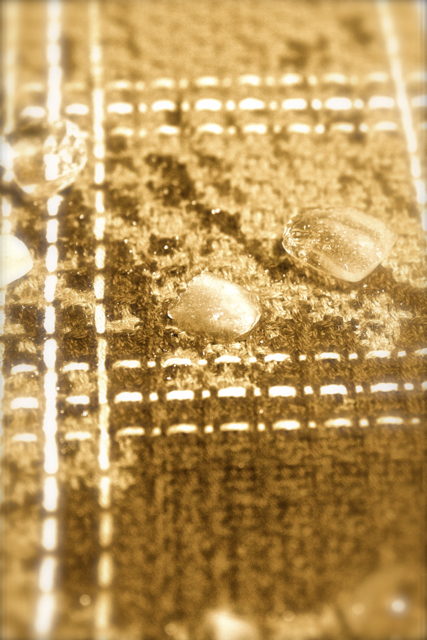 c0153411_0244423.jpg