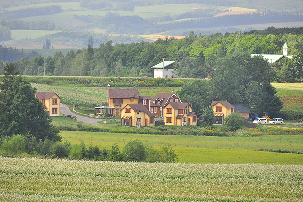 北海道犬連れ旅行記2013 ３日目　美瑛、サロマ湖_d0079912_10231491.jpg