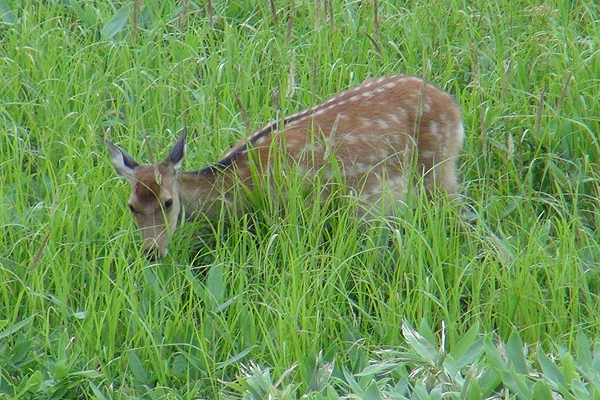 d0079912_11254362.jpg