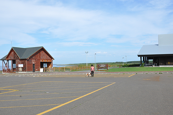 d0079912_1192398.jpg