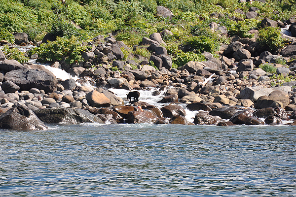 北海道犬連れ旅行記2013 ５日目　知床（ウトロ側）_d0079912_13385426.jpg