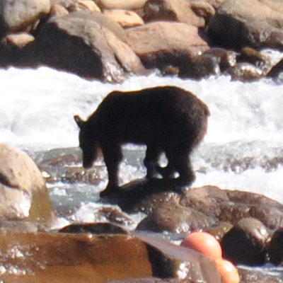 北海道犬連れ旅行記2013 ５日目　知床（ウトロ側）_d0079912_13391516.jpg