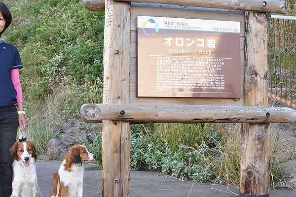 北海道犬連れ旅行記2013 ５日目　知床（ウトロ側）_d0079912_13415816.jpg