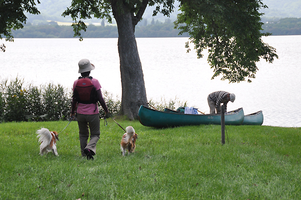 北海道犬連れ旅行記2013 ６日目　屈斜路湖　カヌー_d0079912_1602835.jpg