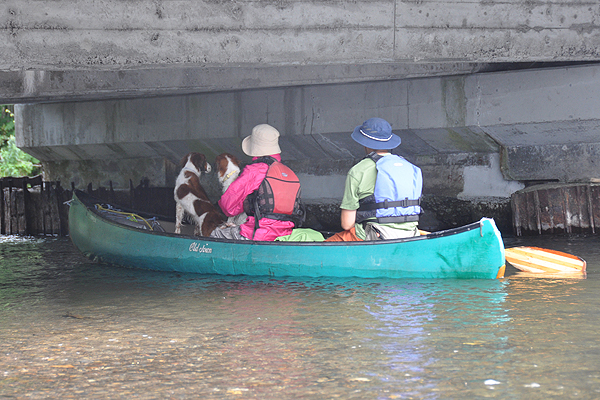 北海道犬連れ旅行記2013 ６日目　屈斜路湖　カヌー_d0079912_1615072.jpg