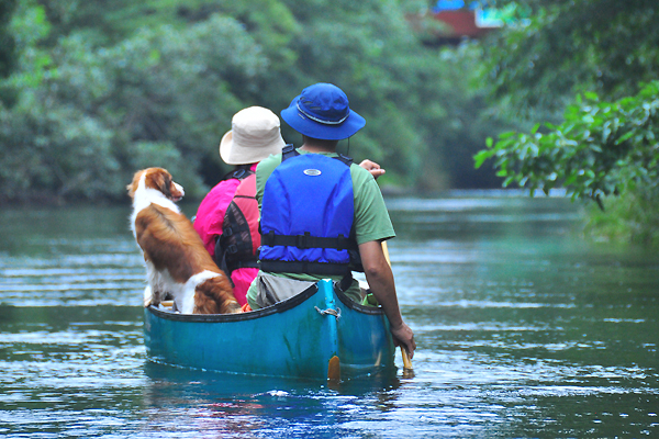 北海道犬連れ旅行記2013 ６日目　屈斜路湖　カヌー_d0079912_1661356.jpg