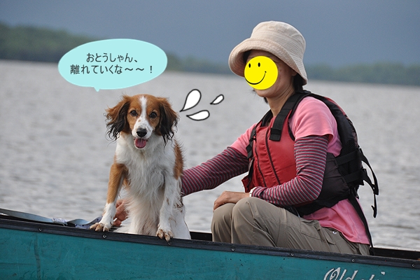 北海道犬連れ旅行記2013 ６日目　屈斜路湖　カヌー_d0079912_17202197.jpg