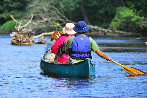 北海道犬連れ旅行記2013 ６日目　屈斜路湖　カヌー_d0079912_17284985.jpg