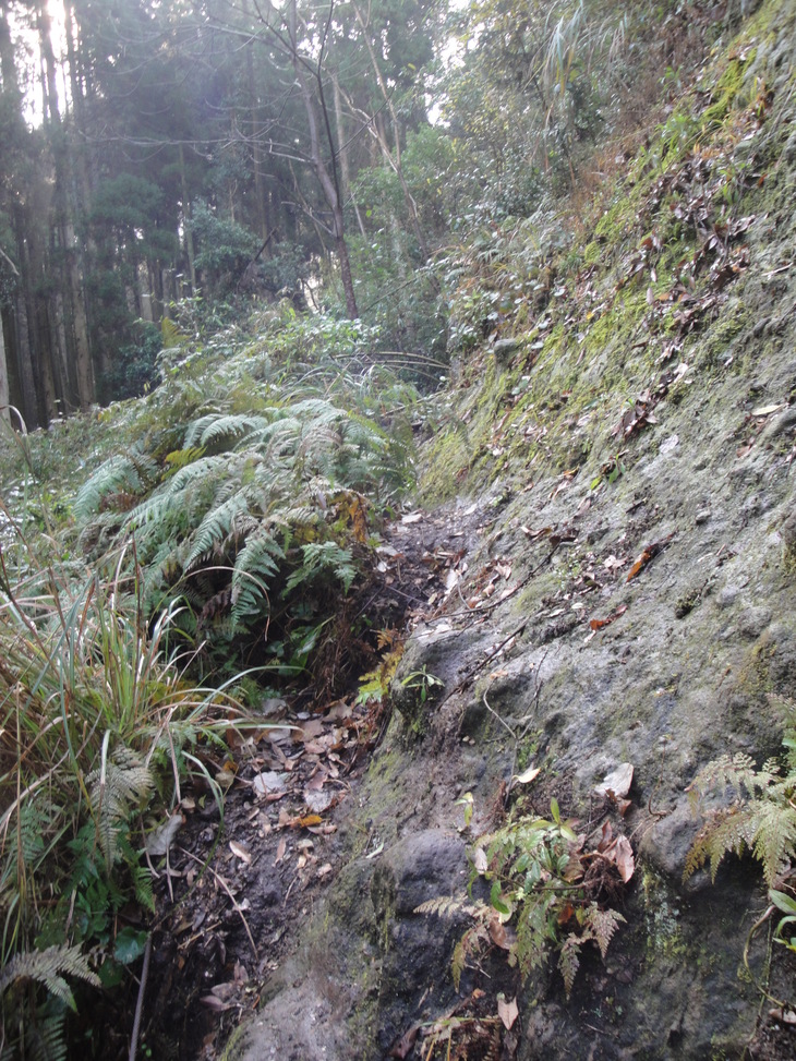 b0291016_18395180.jpg