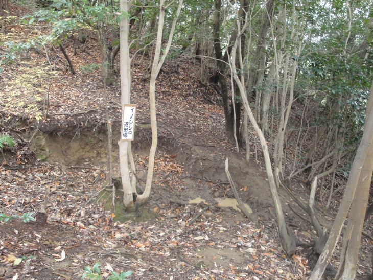 b0291016_18464849.jpg