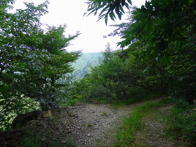 a0243317_2135933.jpg