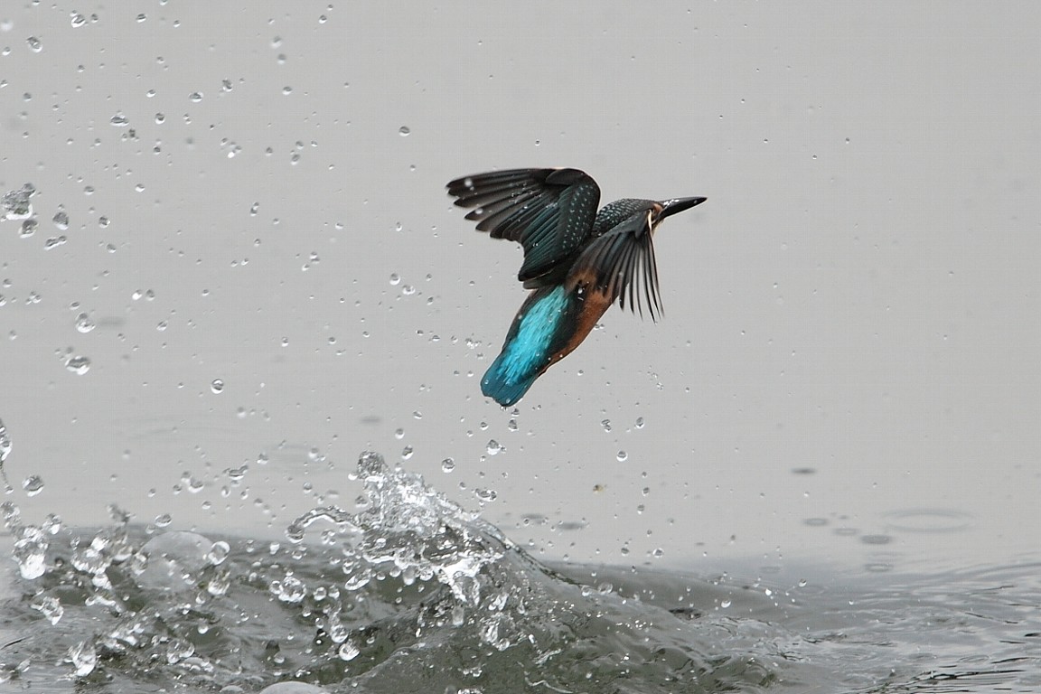 ９月４日　（木）　雨_e0146518_14405574.jpg