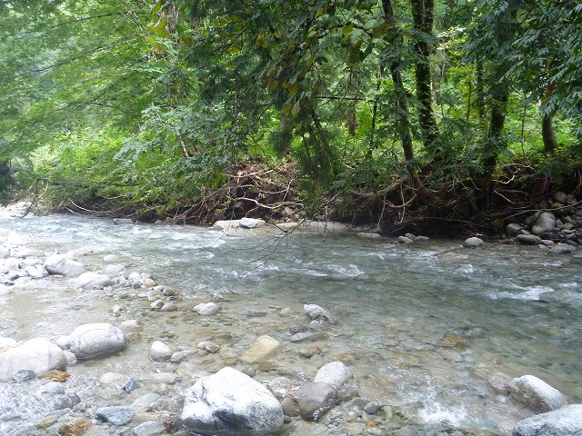 d0227723_23133717.jpg