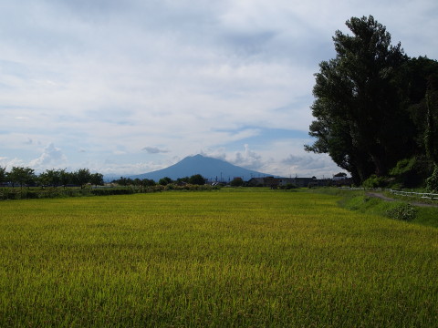 b0147224_2164283.jpg