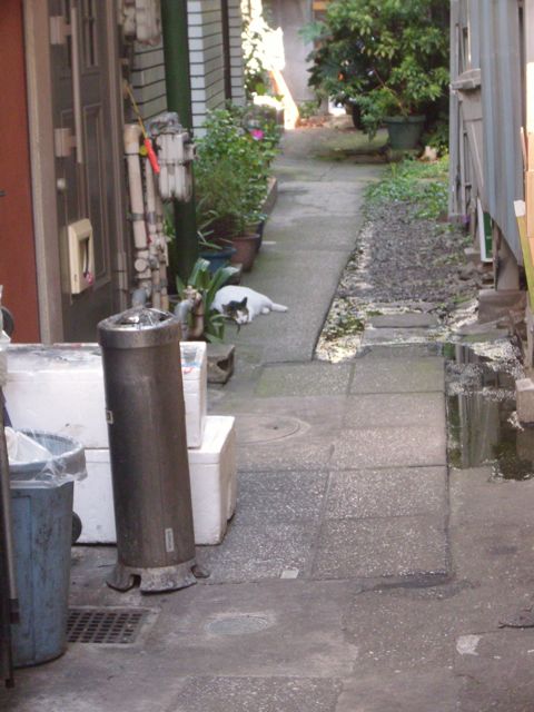 コダック、アグファ対決?_a0136725_1751551.jpg