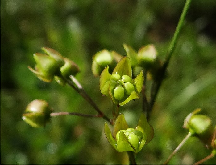 b0211627_18412344.jpg