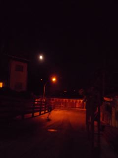 e0120938_0351495.jpg
