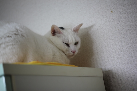 a0319840_55646.jpg