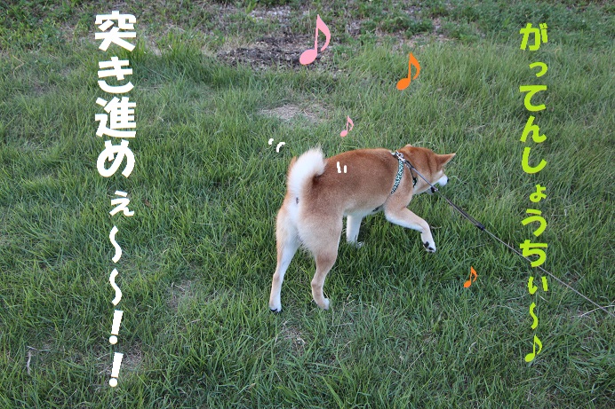 f0245650_10382429.jpg