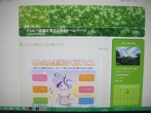 「うみべの森を育てる会」ブログHP開設以来・・・ by (TATE-misaki)_c0108460_1543965.jpg