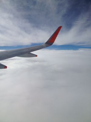 名古屋出張_d0197762_048208.jpg