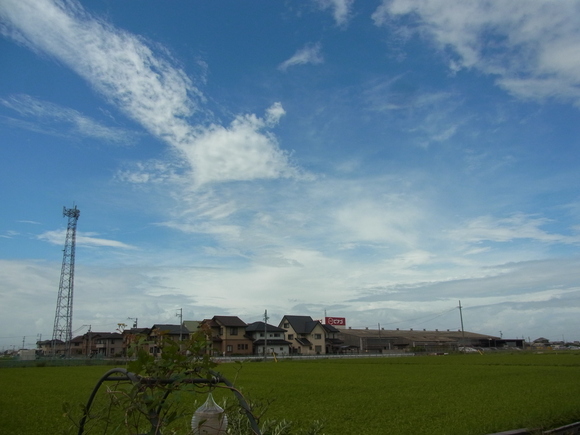 b0194267_17404819.jpg