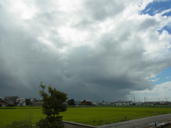 b0194267_1814039.jpg
