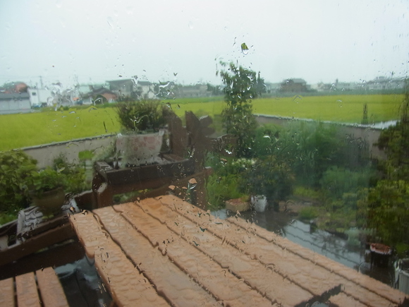 b0194267_1823101.jpg
