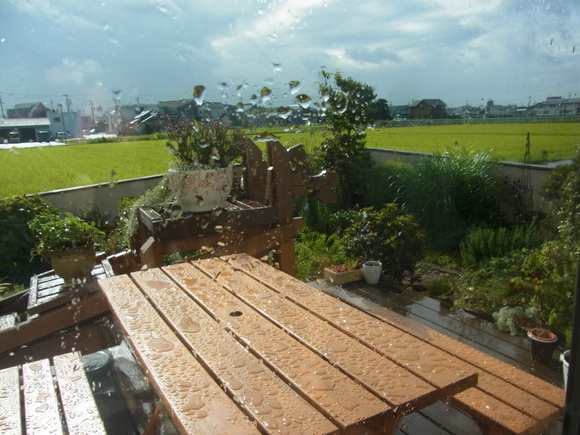 b0194267_18241756.jpg
