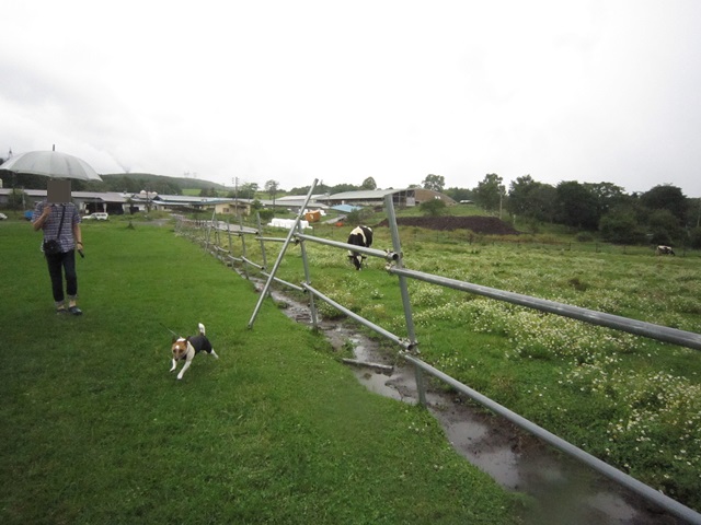 f0100871_2244858.jpg