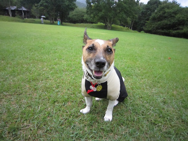 f0100871_23161389.jpg
