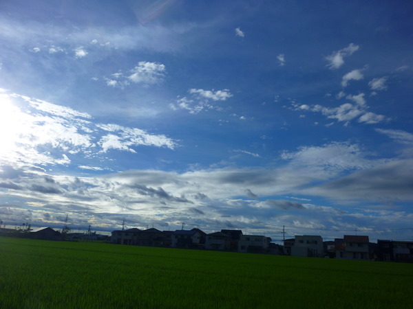 ＊＊久しぶりの青空♪＊＊_c0216472_1719353.jpg