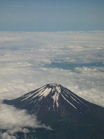 宵待草はいずこに……。_b0141773_21293055.jpg