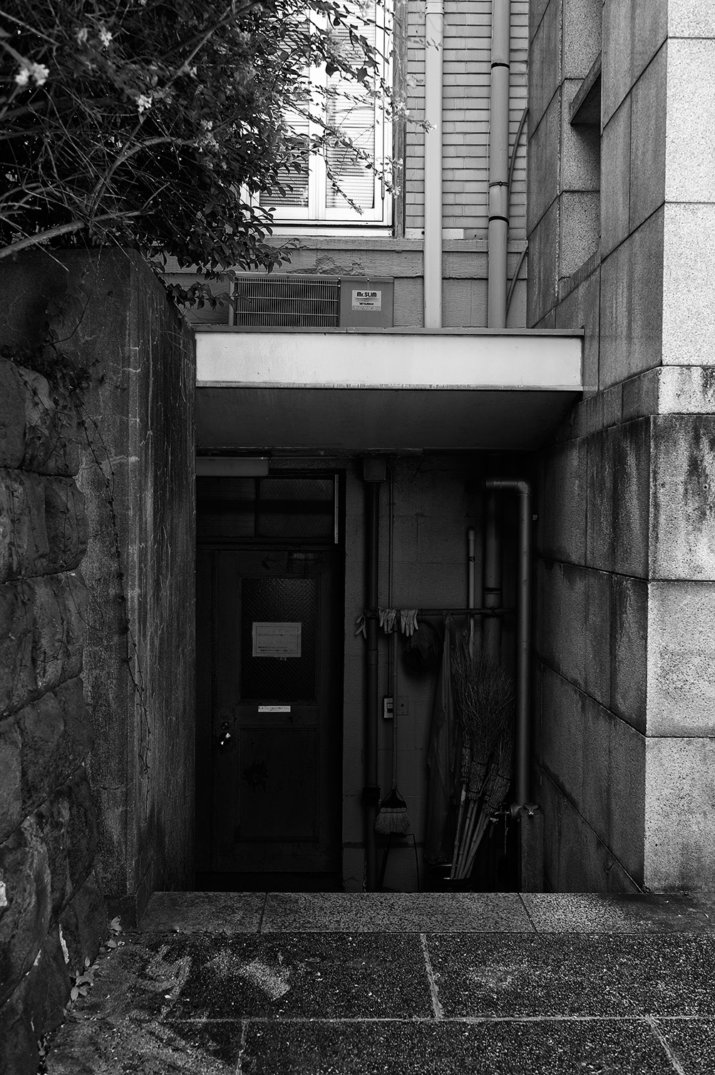 f0121181_214647.jpg