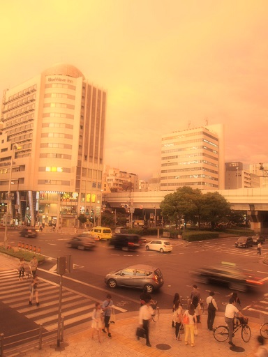雨上がり_f0202682_18482212.jpg