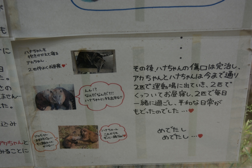 ２０１３年８月　とくしま動物園　その１_a0052986_0175052.jpg