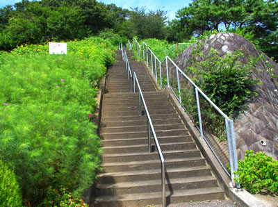 b0123486_17175889.jpg