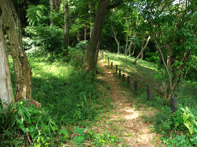 b0123486_18114167.jpg